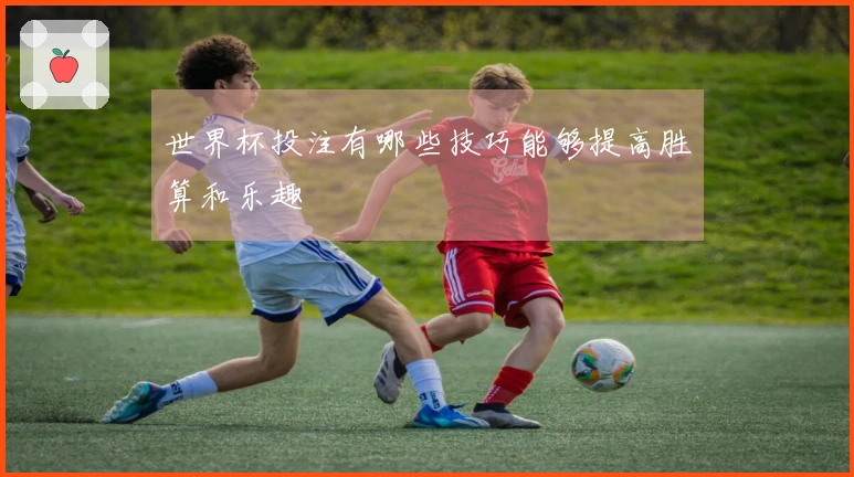 世界杯投注有哪些技巧能够提高胜算和乐趣