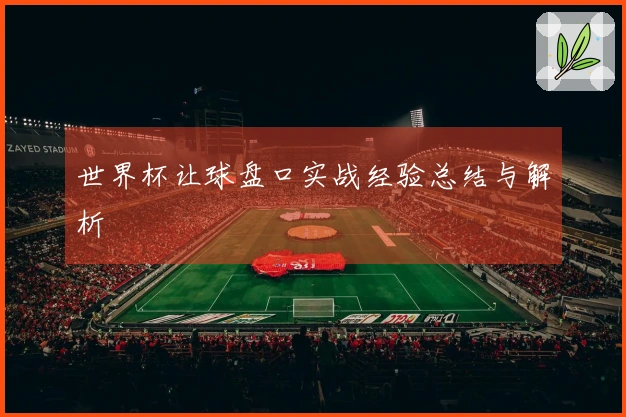 世界杯让球盘口实战经验总结与解析