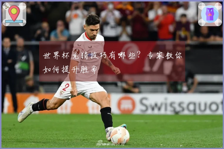 世界杯竞猜技巧有哪些？专家教你如何提升胜率