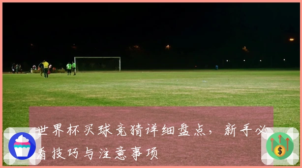 世界杯买球竞猜详细盘点，新手必看技巧与注意事项