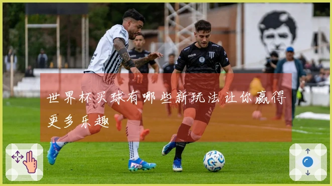 世界杯买球有哪些新玩法让你赢得更多乐趣